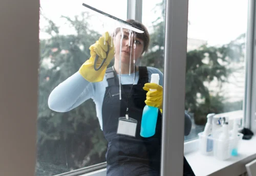 Nettoyage de vitres intérieures et extérieures à Sauvagnon